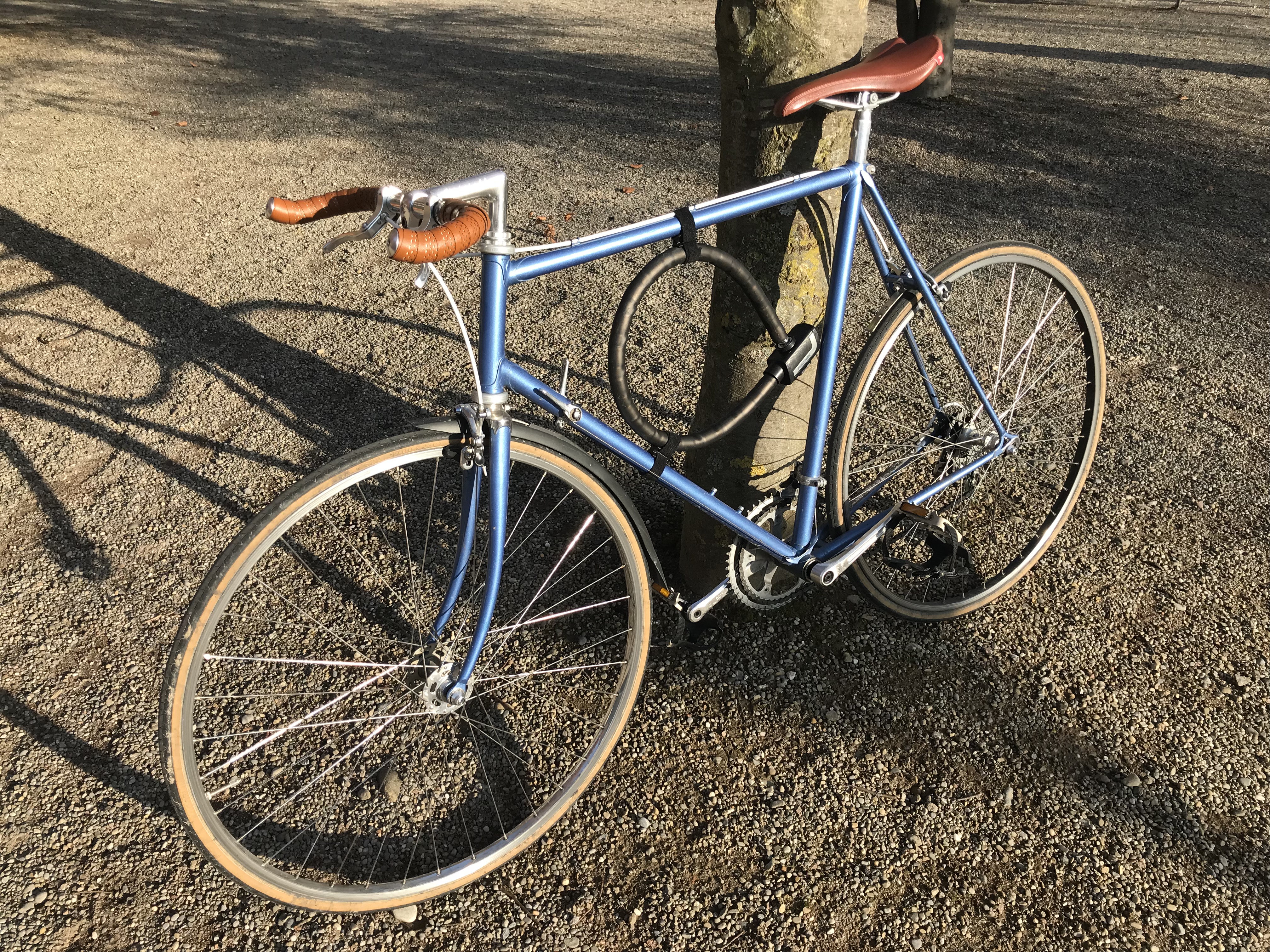 Bike Lock Holder