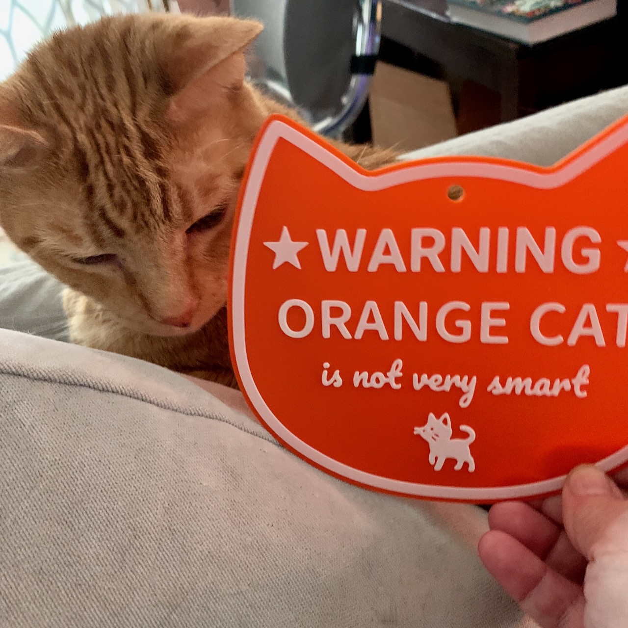 Orange cat joke sign