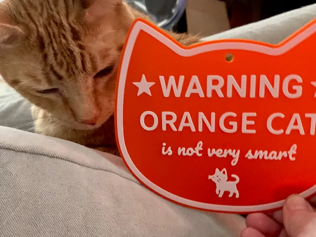 Orange cat joke sign