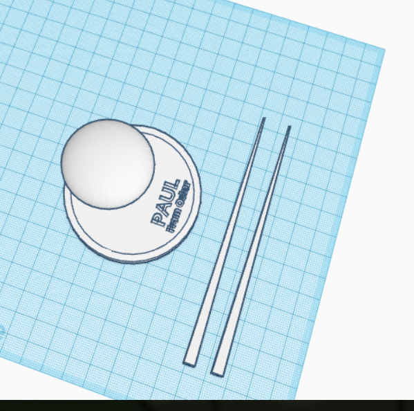 fencing foil paul