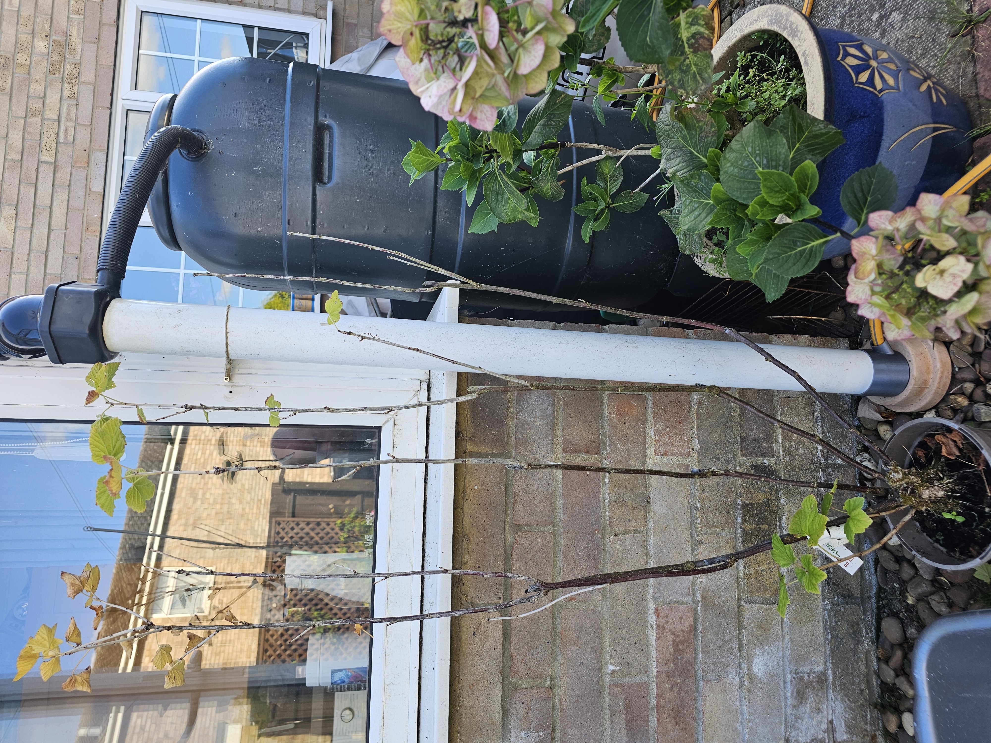 Rainwater pipe hose drain — miniatura 2