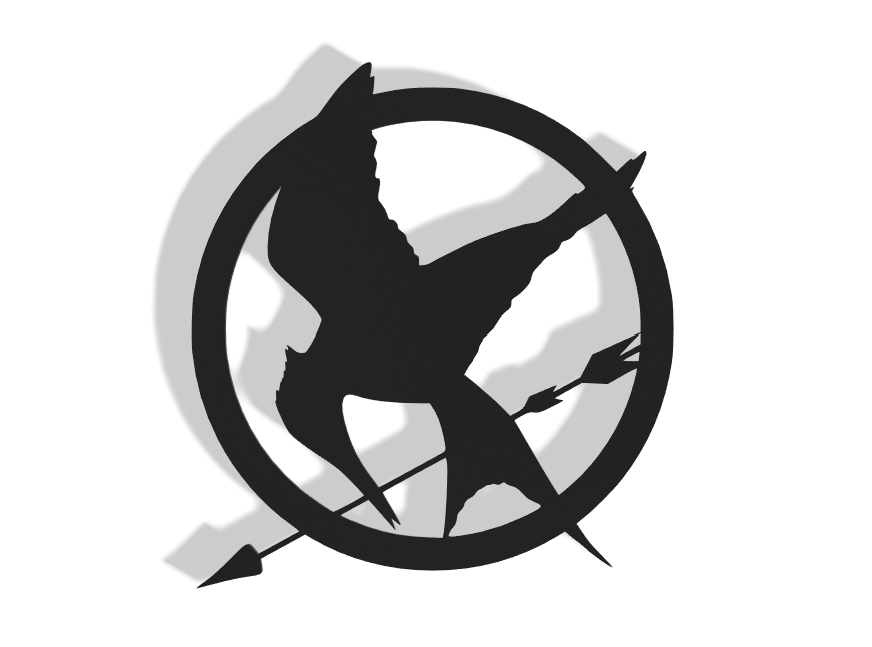 Hunger Games Decor