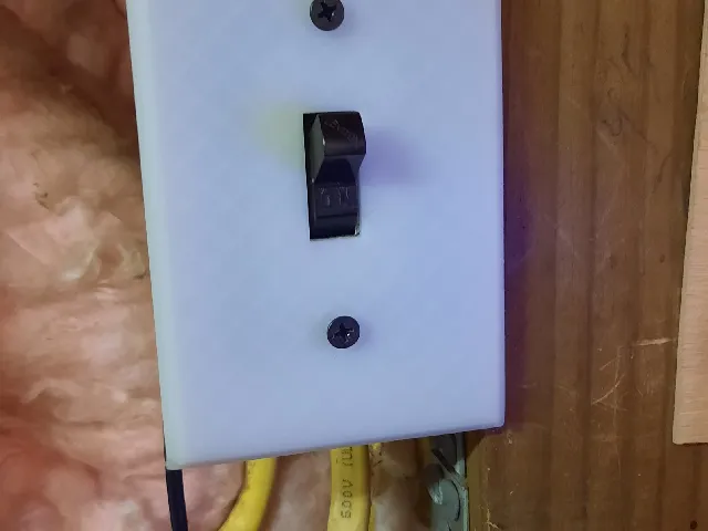 Switch Plate