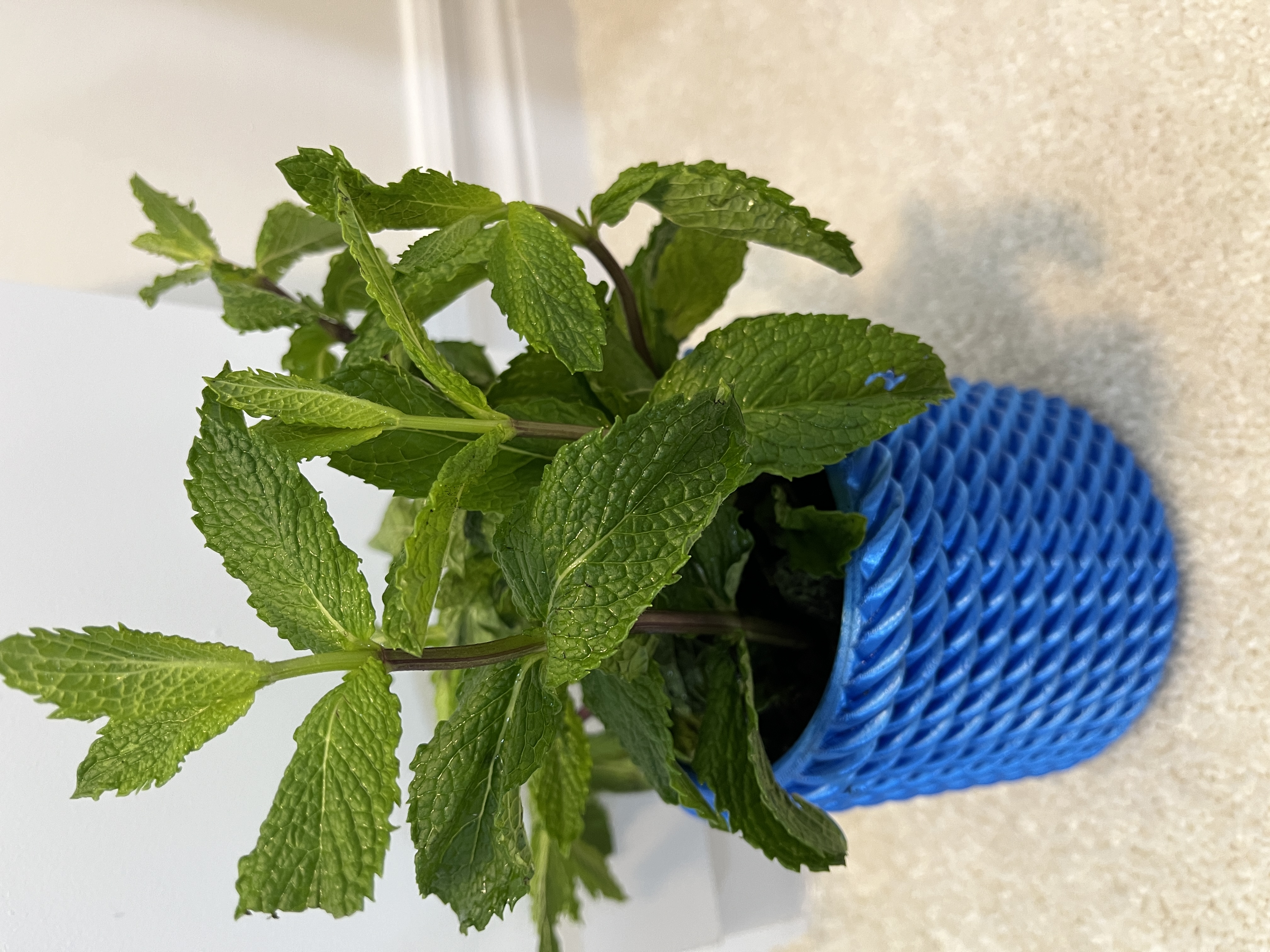 Planter