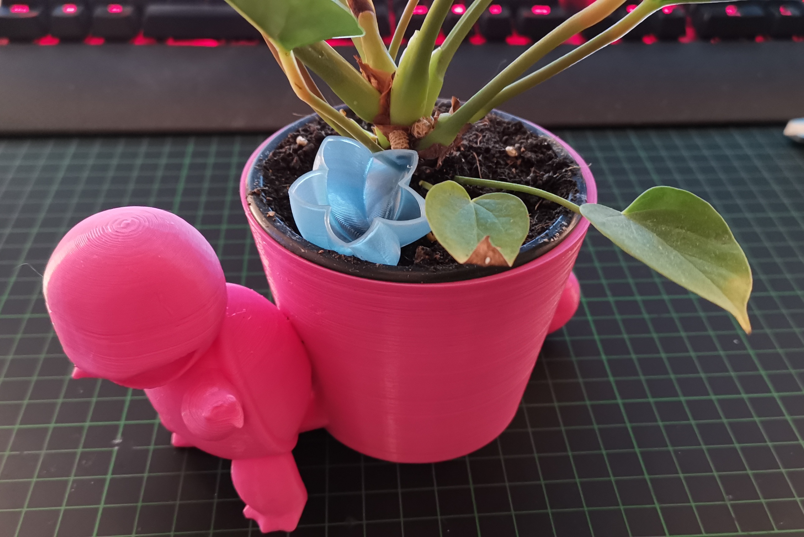 Pouring Aid for plants - Small and Medium