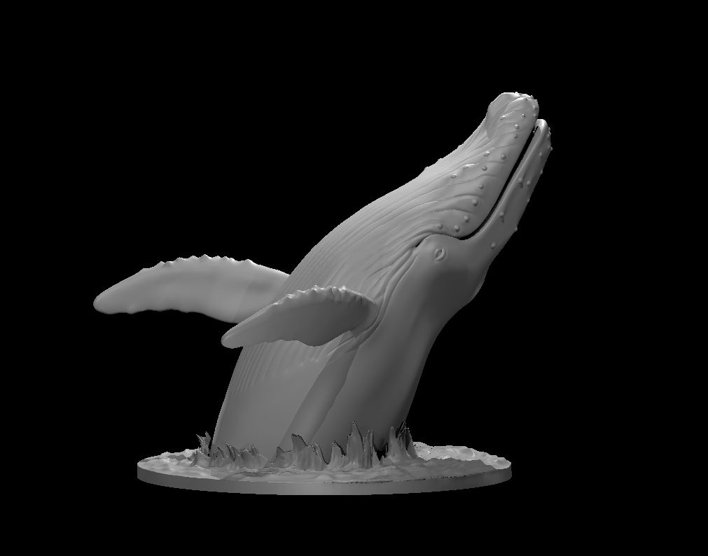 Miniatura 2 do modelo 3D Humpback Whale mini