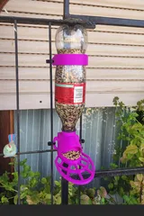 Bird feeder