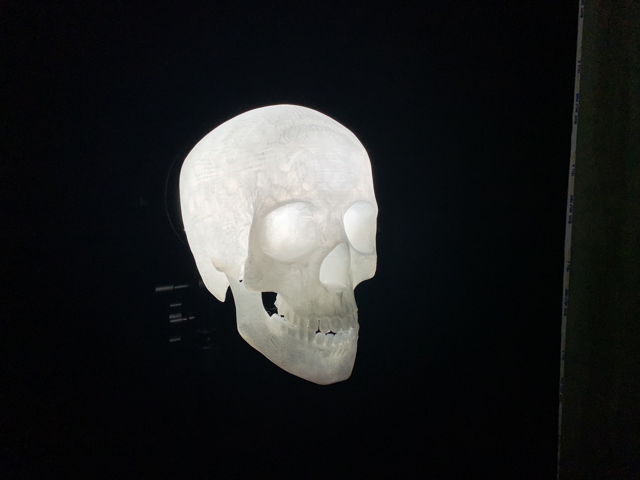 Skull Light Diffuser Bowens Mount — thumbnail 2