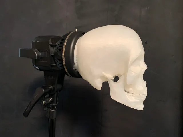 Skull Light Diffuser Bowens Mount