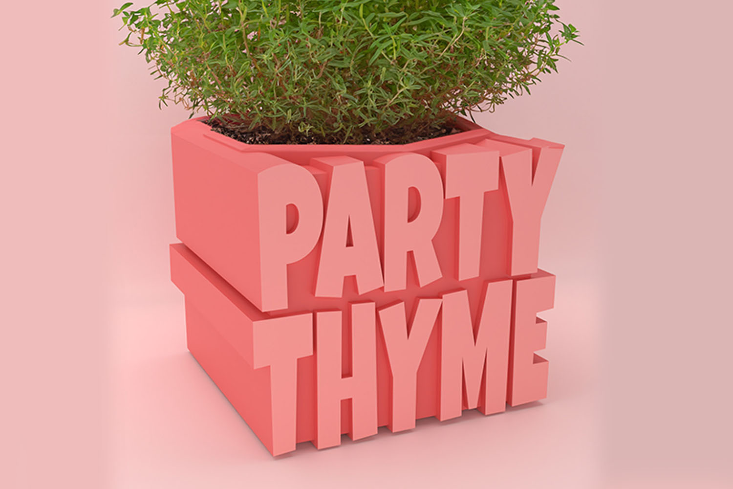 Plant puns - Party Thyme
