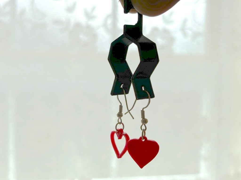 earring display carrier