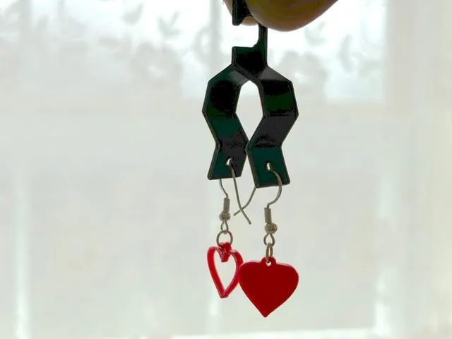 earring display carrier
