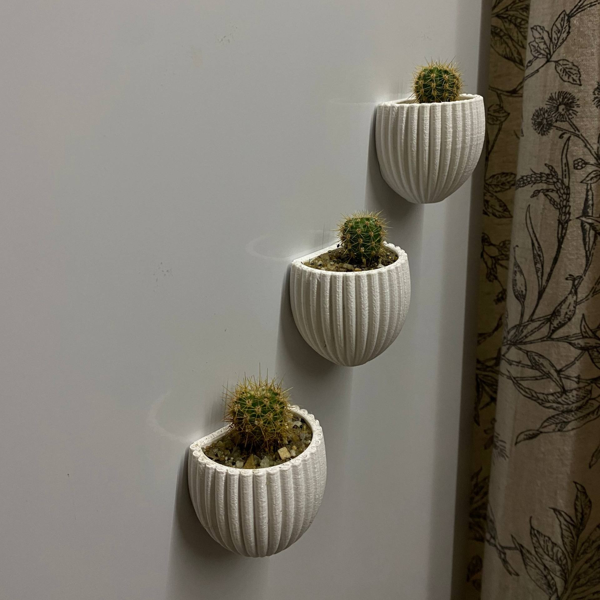 Flower / Cactus / Succulent vase with magnets