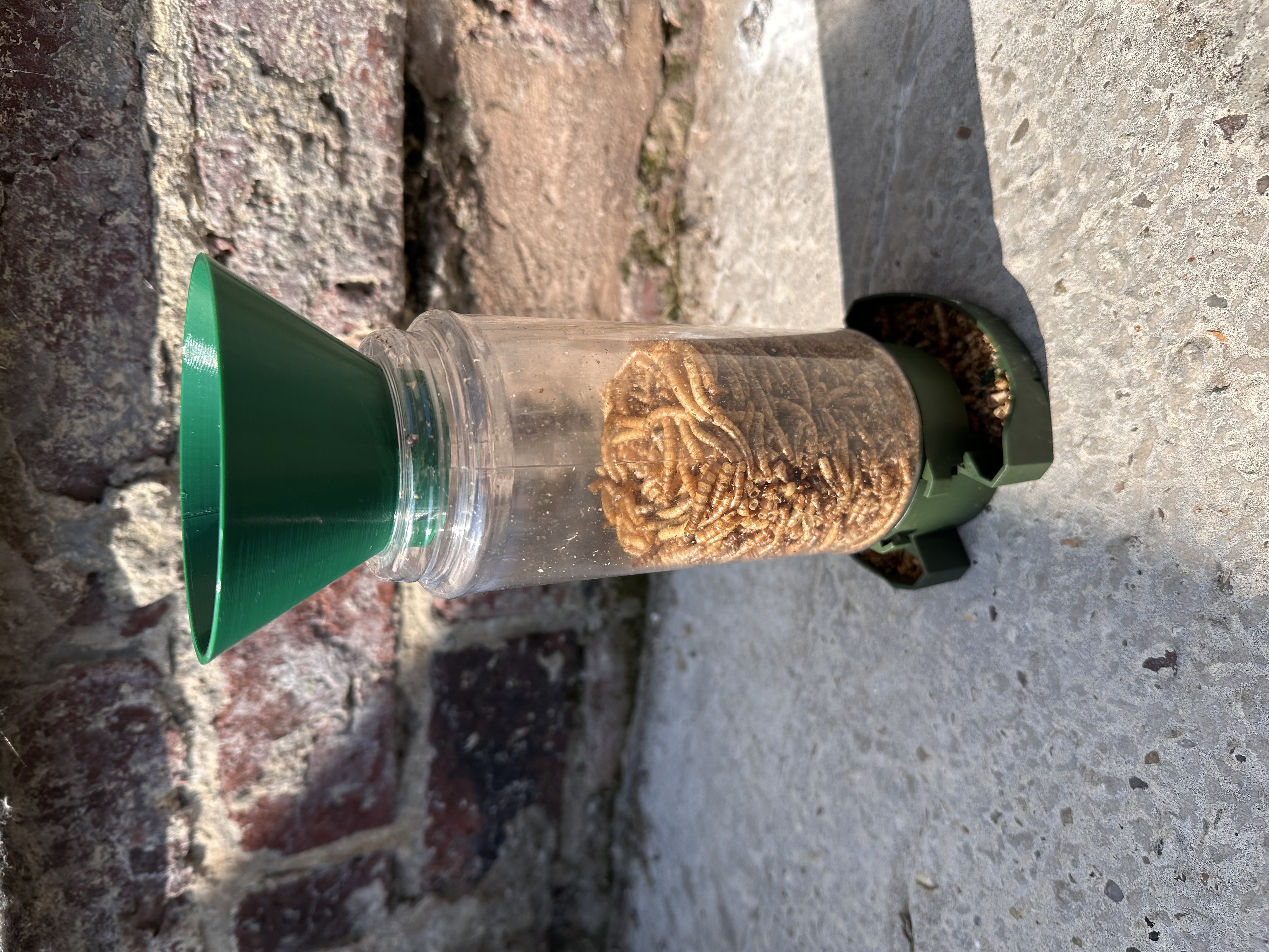 Peckish Everyday Bird Feeder Funnel