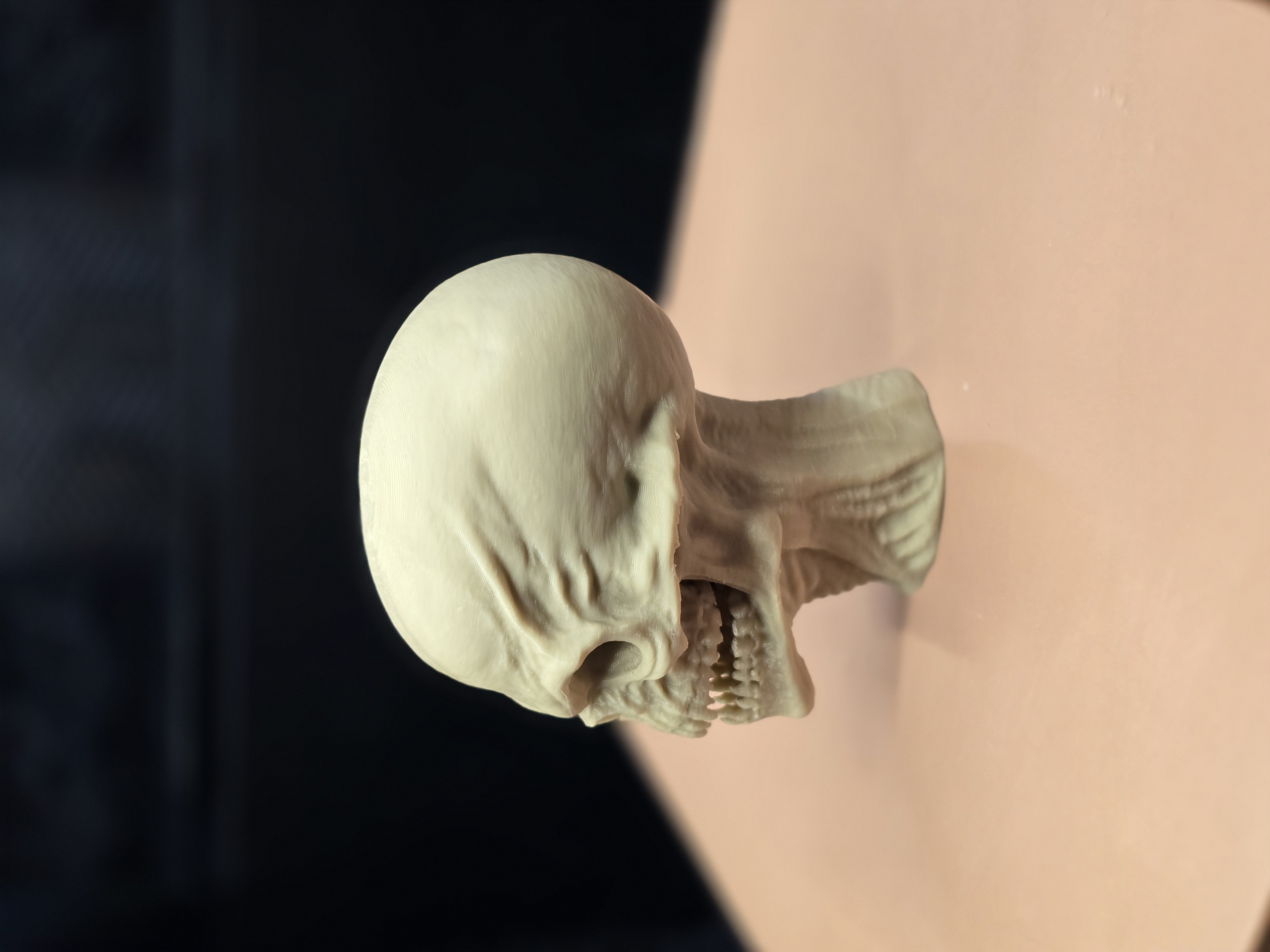 The Abyssal Sentinel – Hyper- Detailed Alien Skull — miniatura 3
