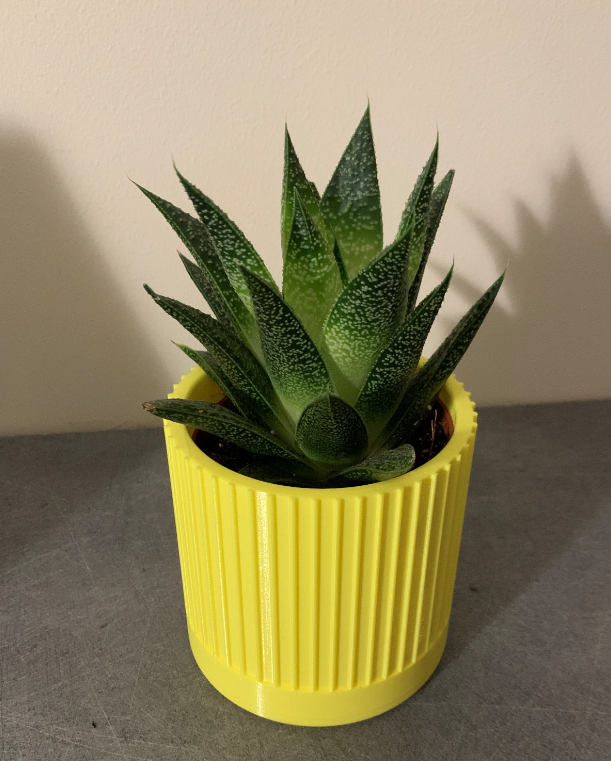 Flower Pot - Plant Pot