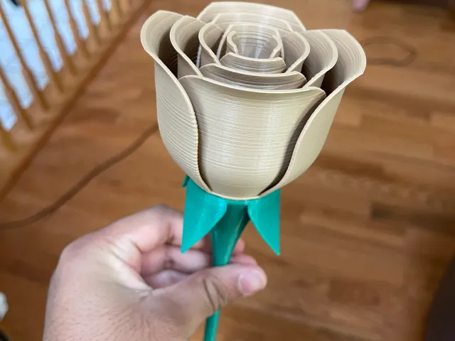 Rose and Stem