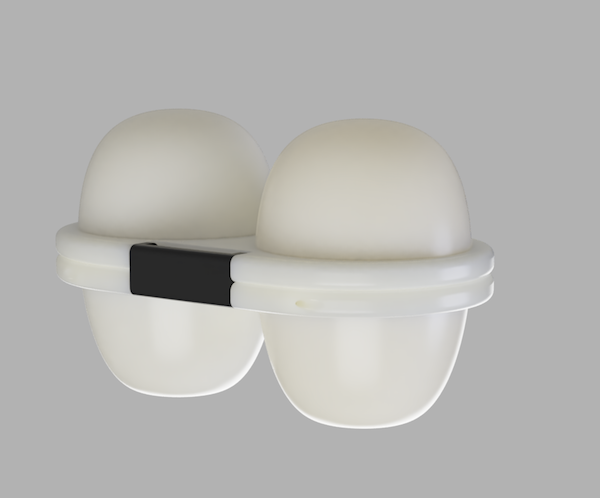 Egg Storage Box