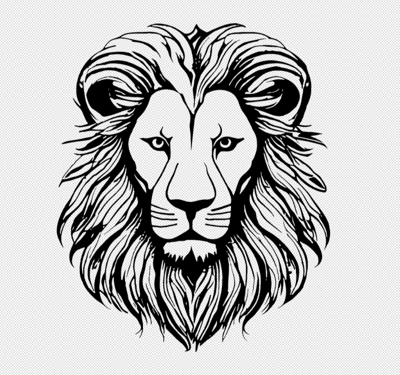 Lion head decoration 2d