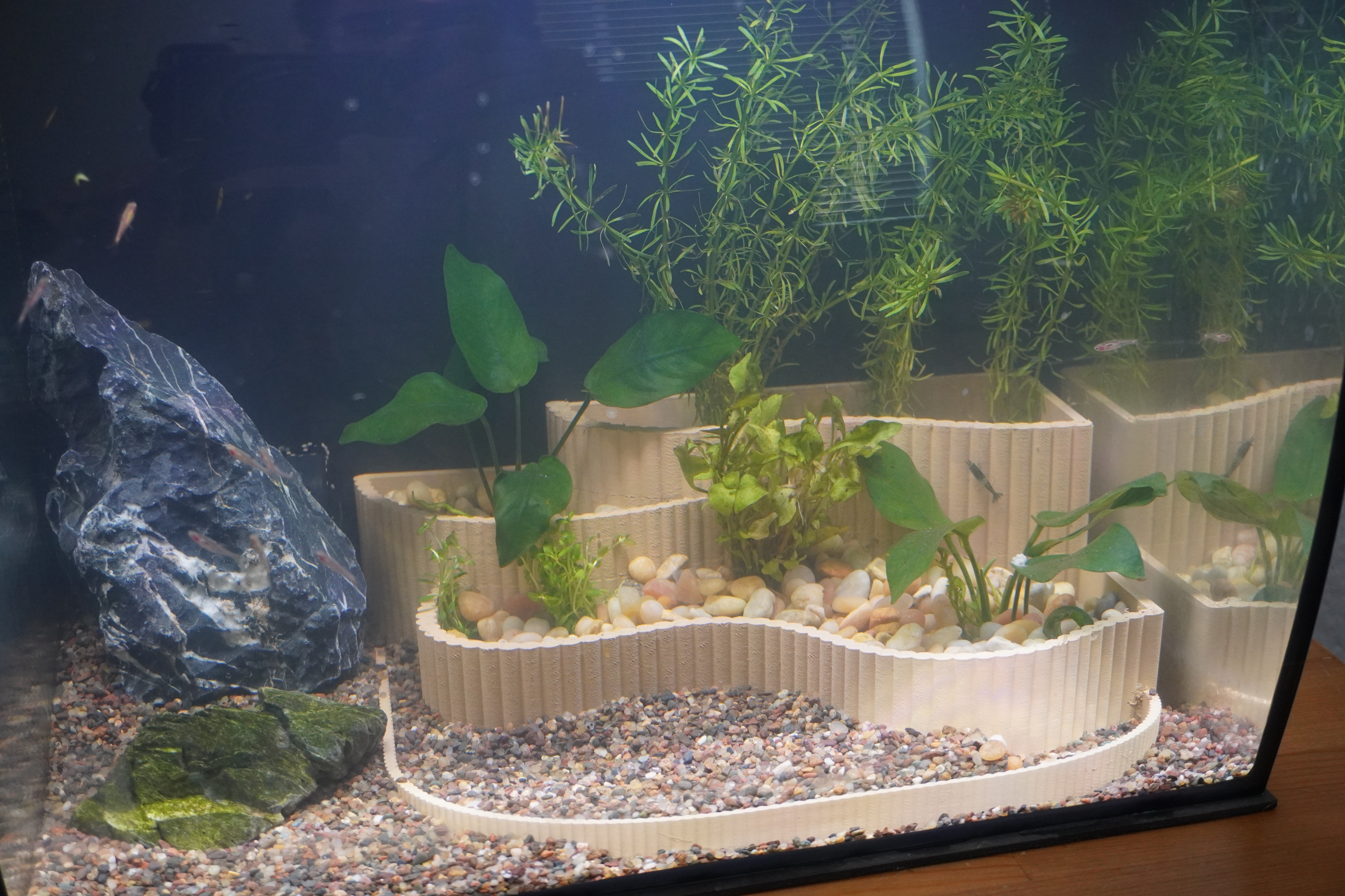 Aquarium Planter Tiered Aquascape