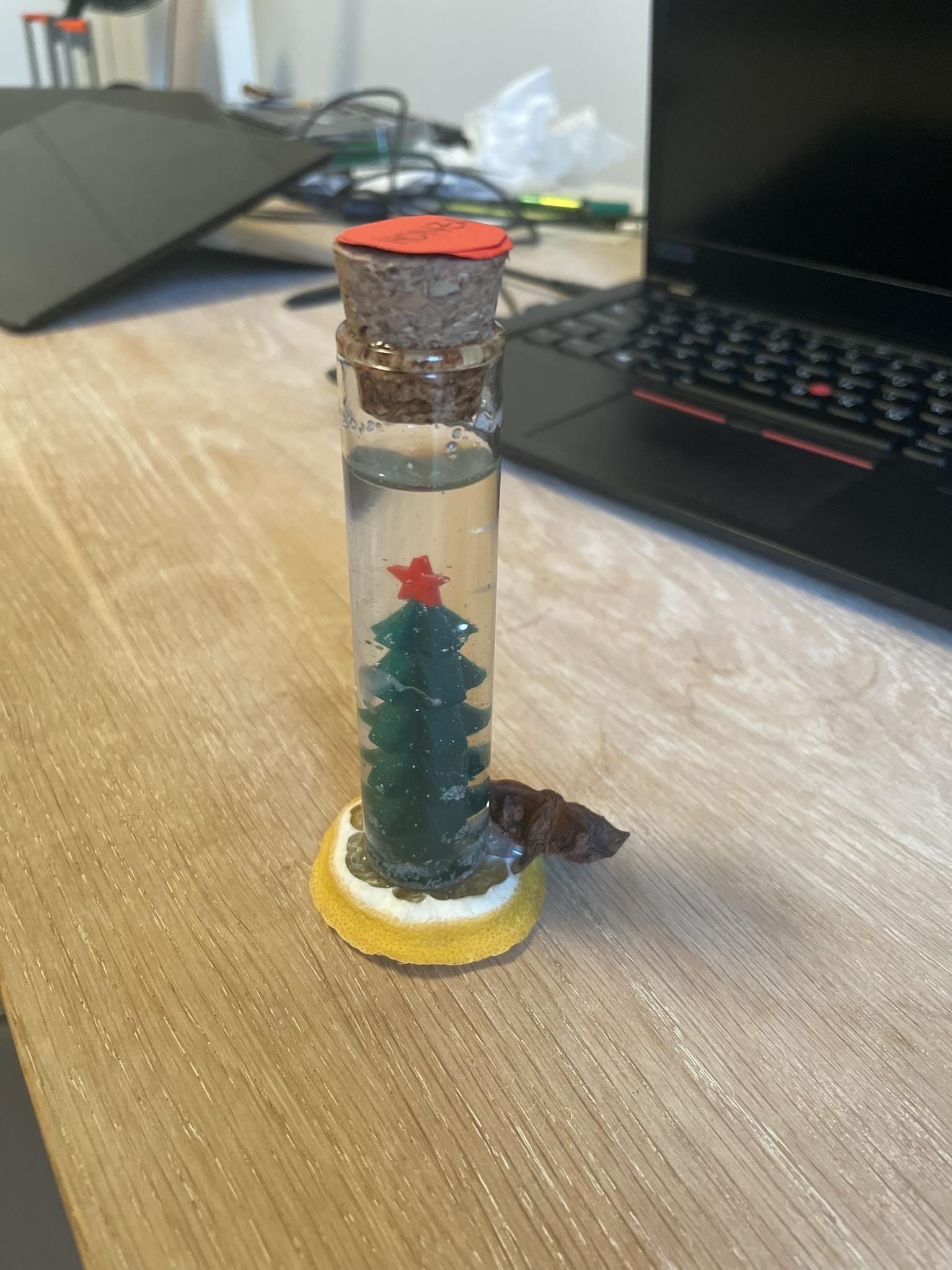 A Snowglobe with Christmas tree