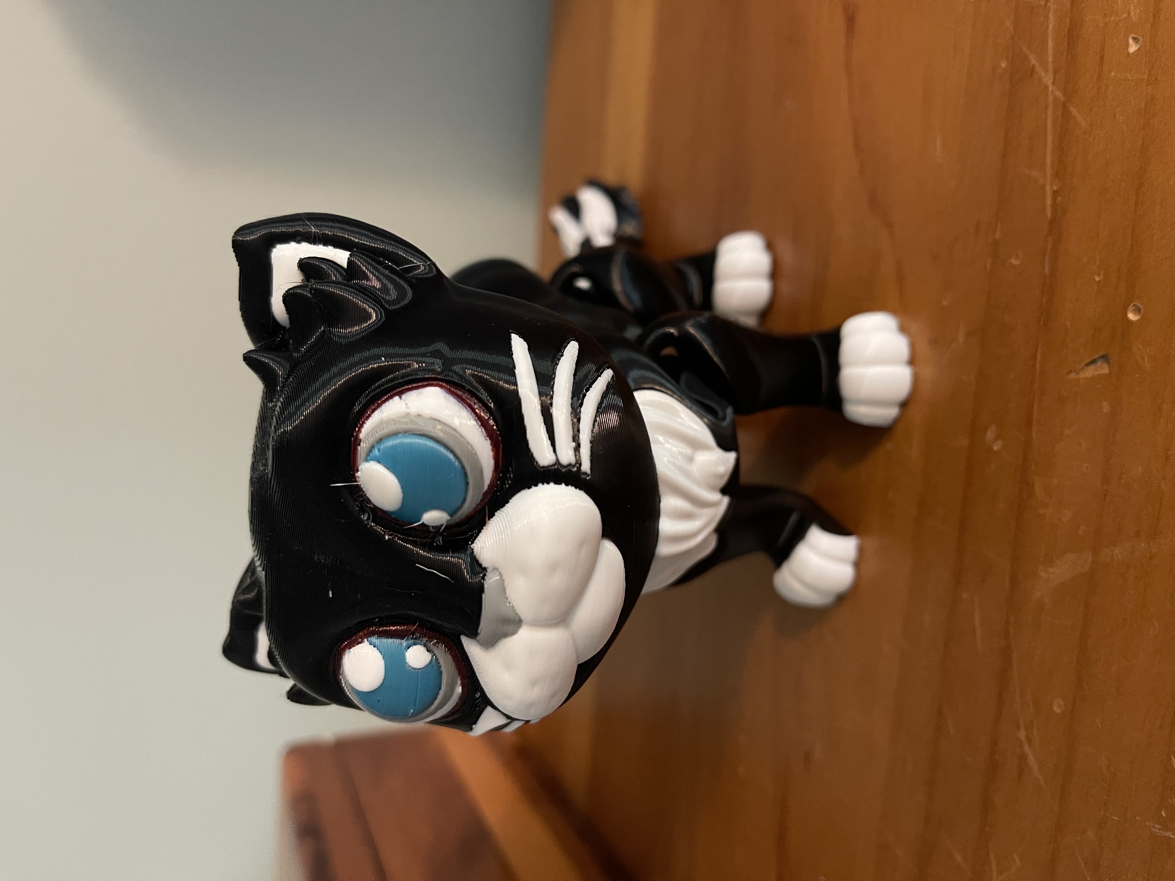 Multicolor Articulated Cat