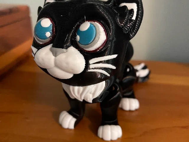 Multicolor Articulated Cat