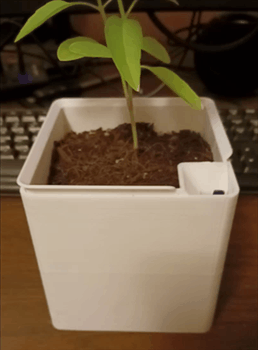 Overdesigned self watering plant pot with wick attachment