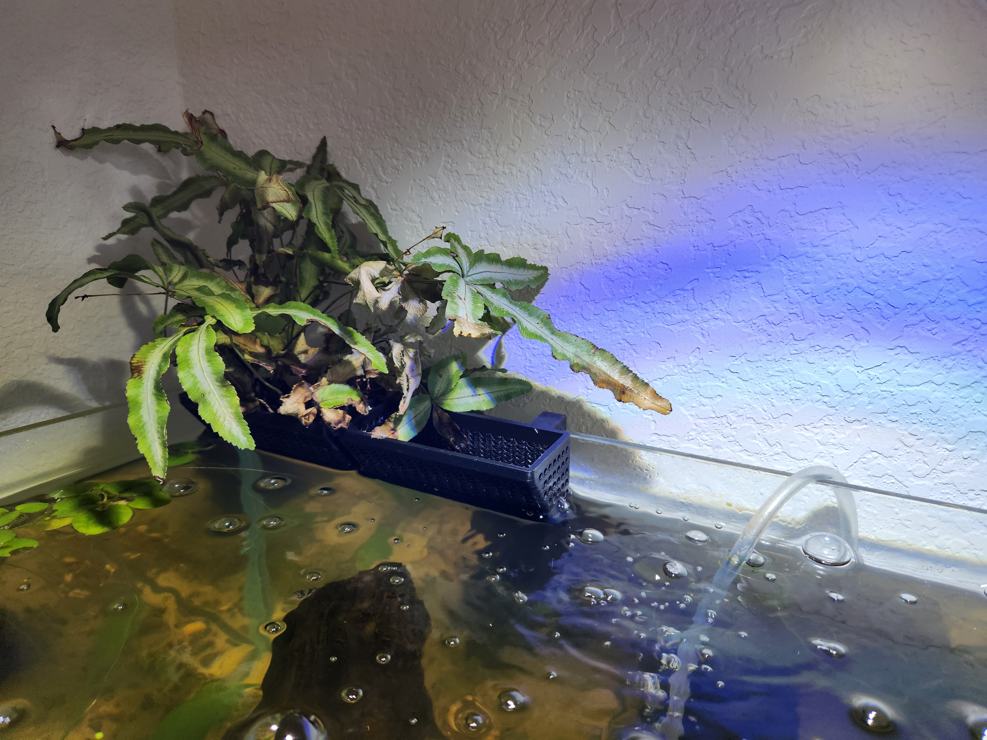 Simple aquarium planter basket