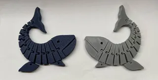 Flexi Whale (Print In Place)