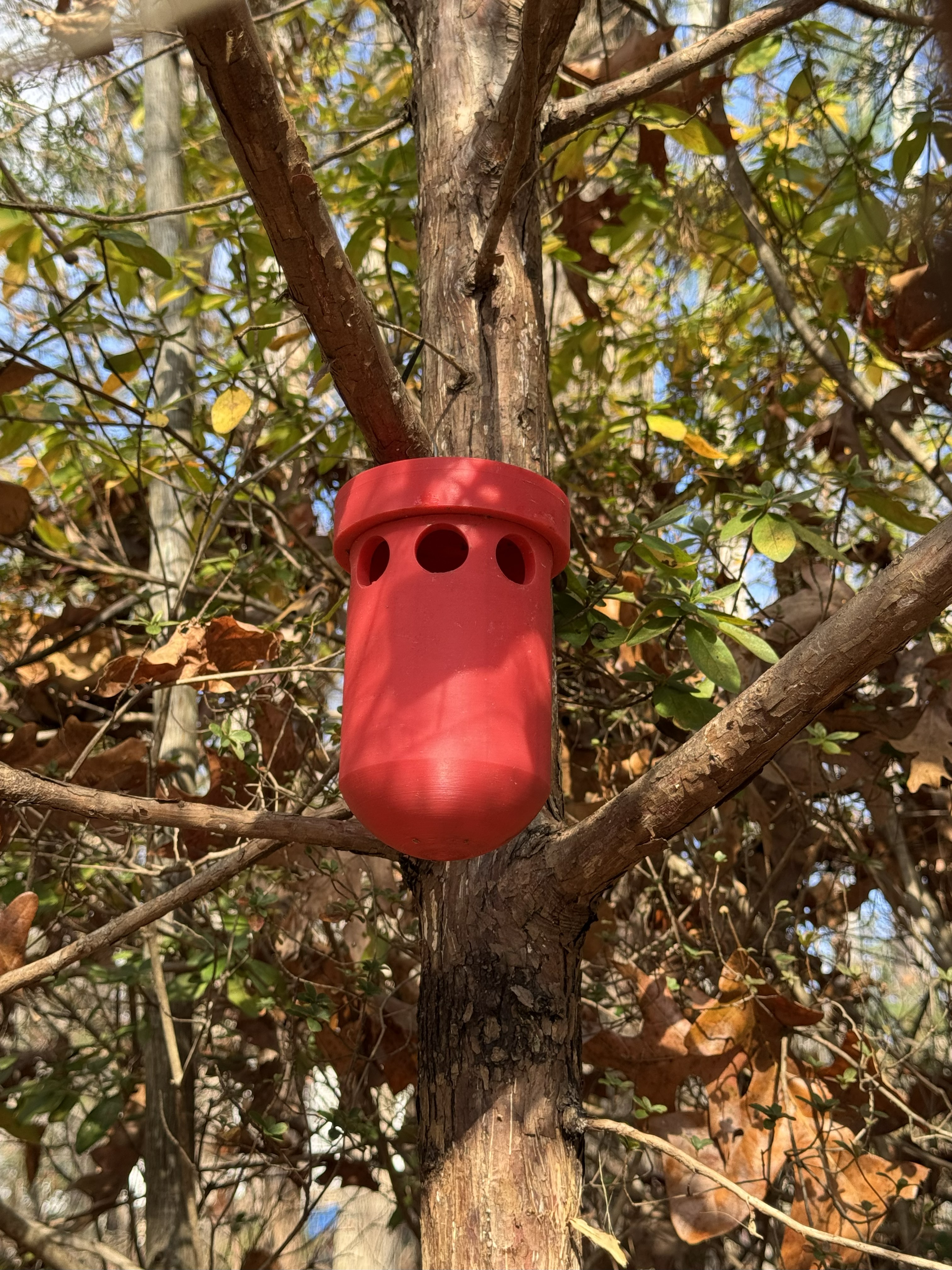Yellow Jacket & Hornet Trap – Boric Acid + Apple Juice Bait – Reusable Threaded Wasp Trap