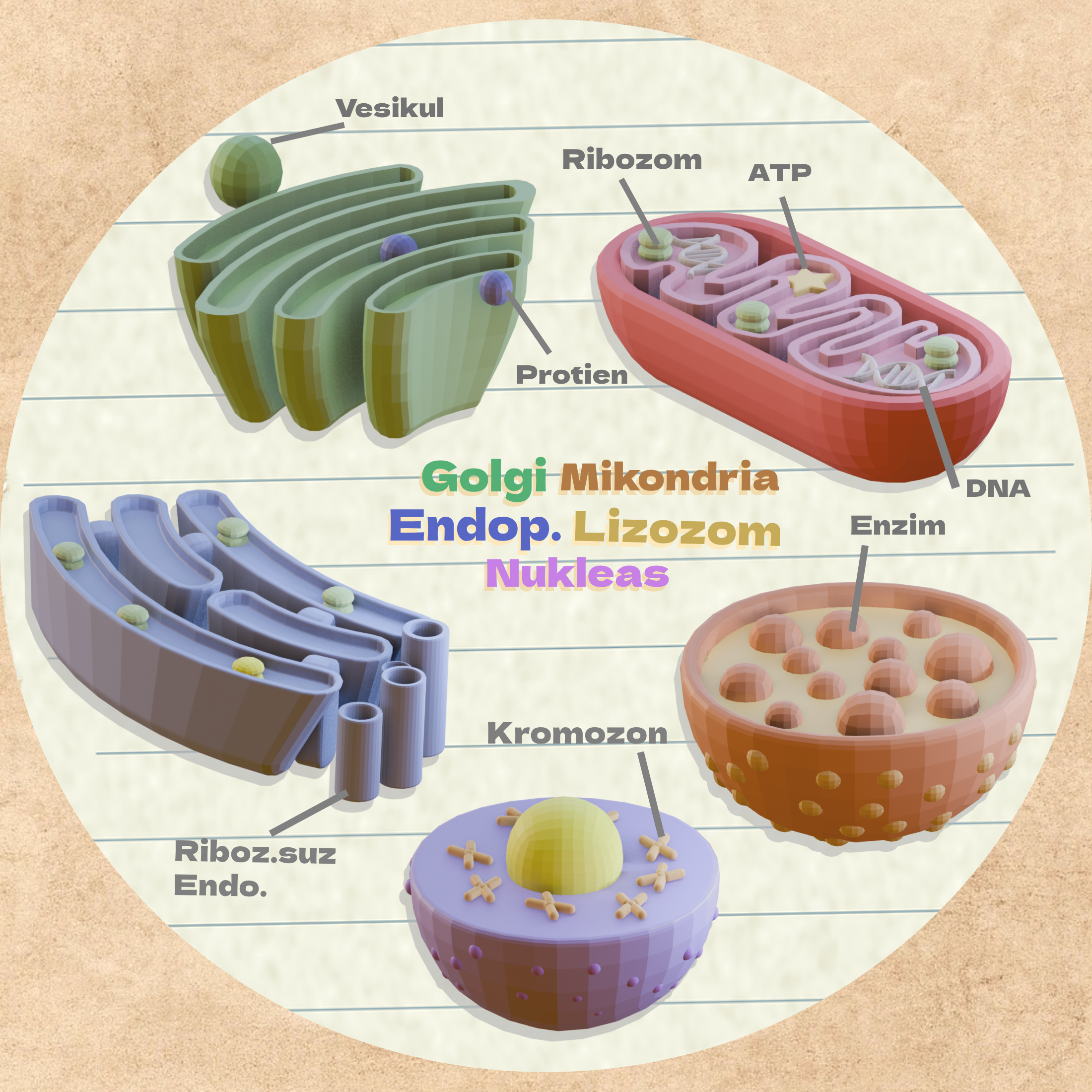 Miniatura 3 do modelo 3D Eukaryotic Cell Model