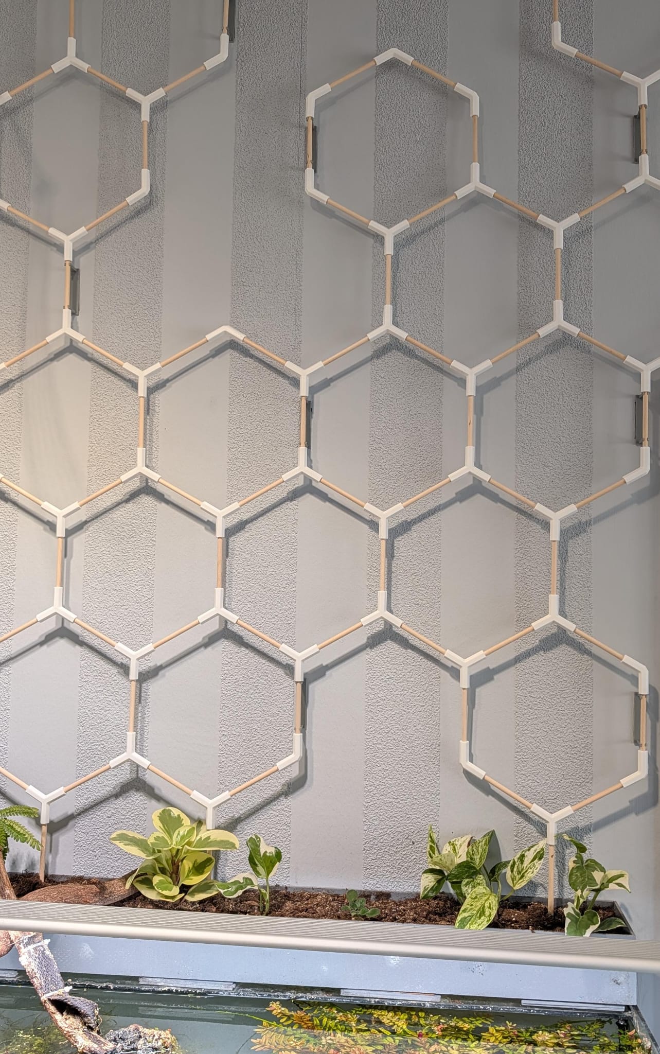 Hexagon Trellis / Rankgitter - für 6mm Bambus/Buche Stäbe