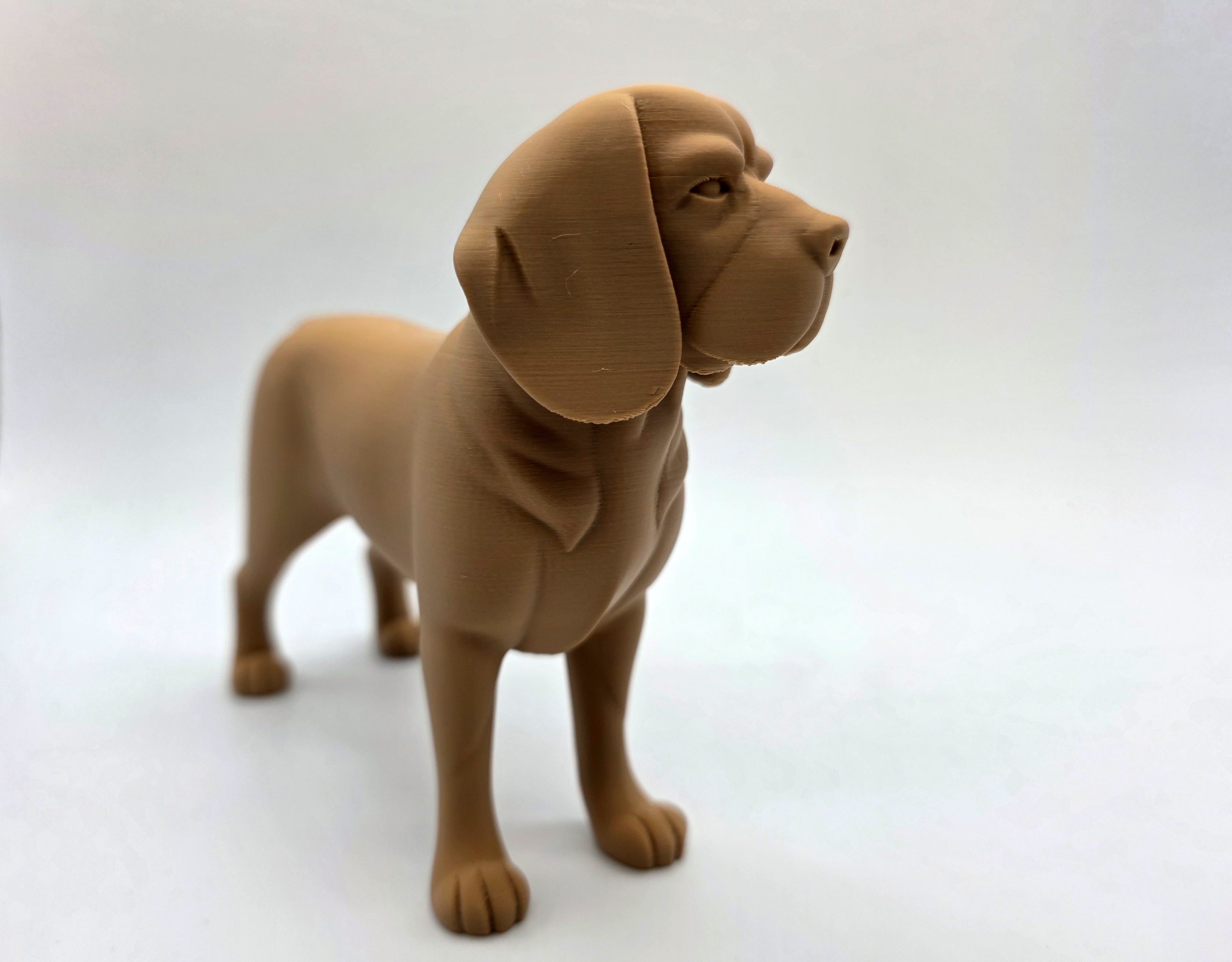 Standing Beagle — thumbnail 6