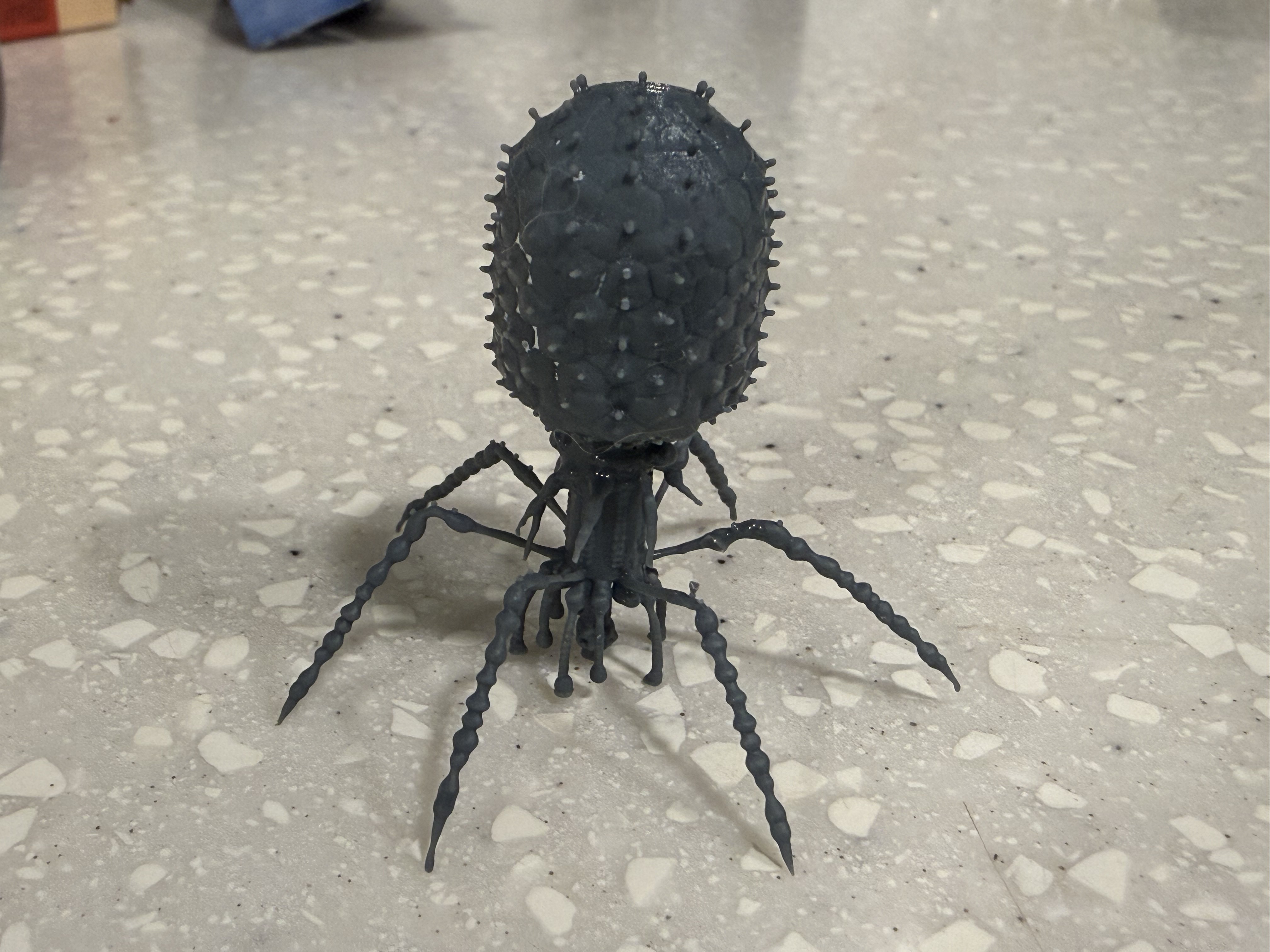 Bacteriophage Virus