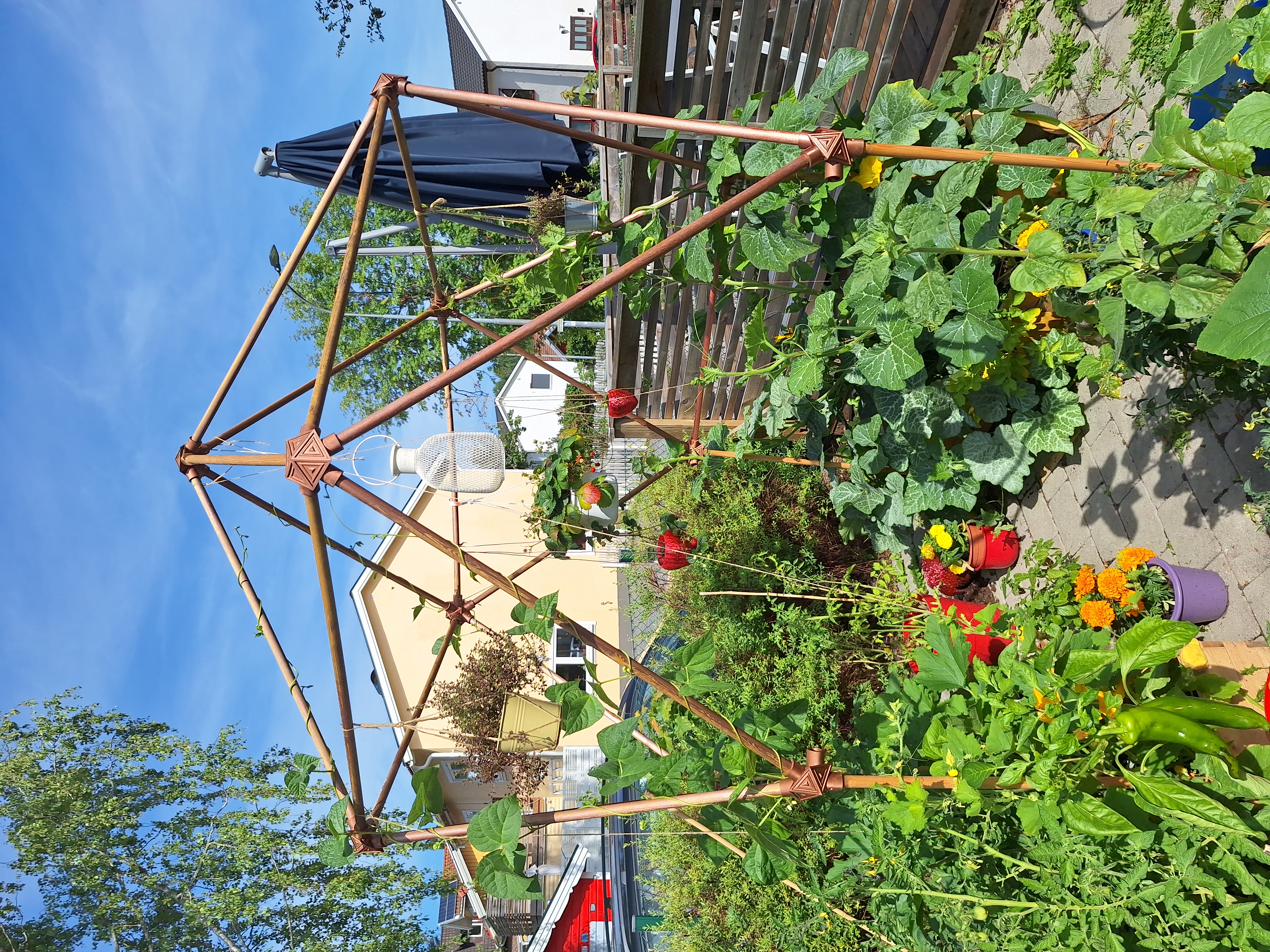 Geodesic D20 Dome