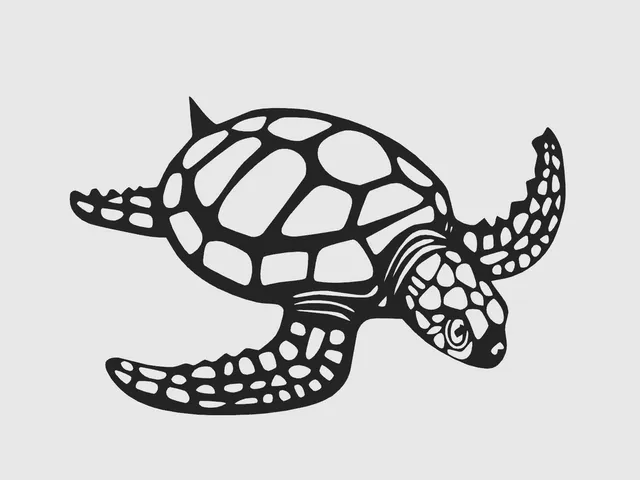 Tortoise / Turtle  - wall art