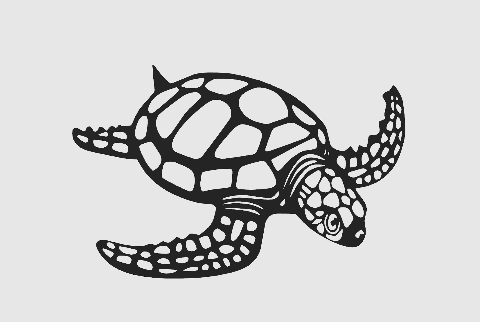 Tortoise / Turtle  - wall art