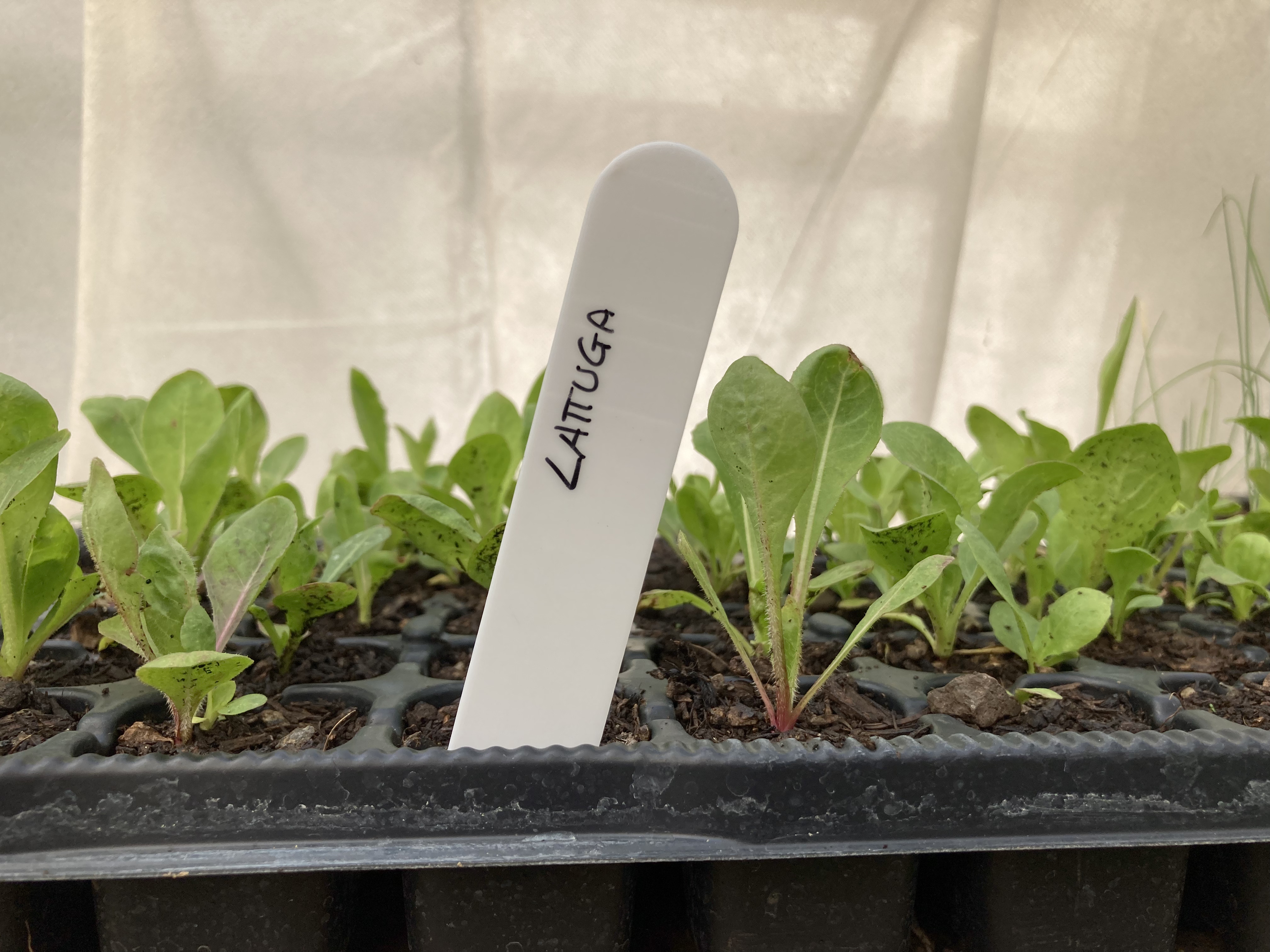 Simple and lightweight plant label