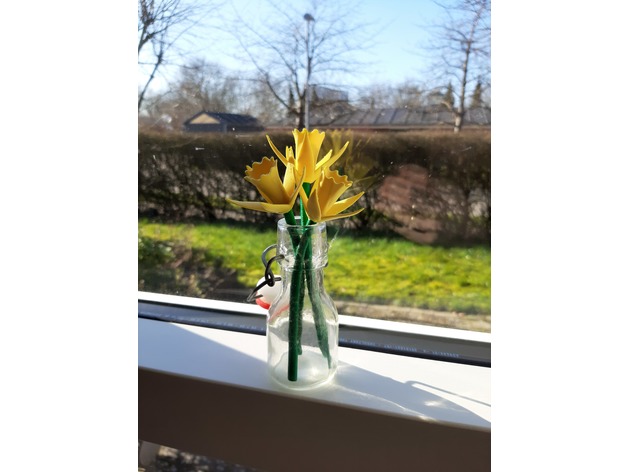 Easter lily