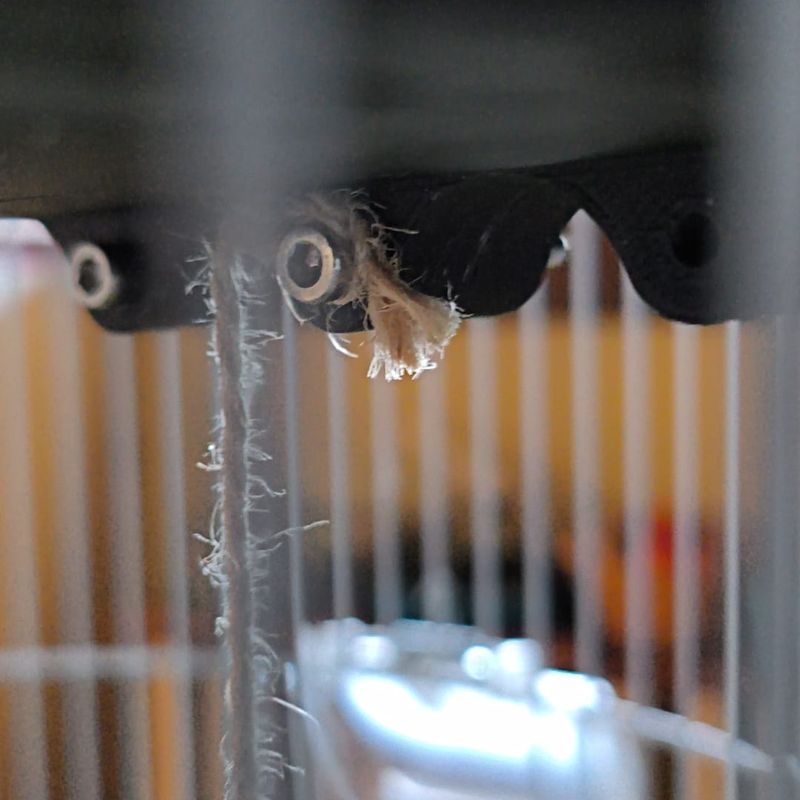 Budgie＇s Breeding Nest - Round Cage by V037_ | Download free STL model ...