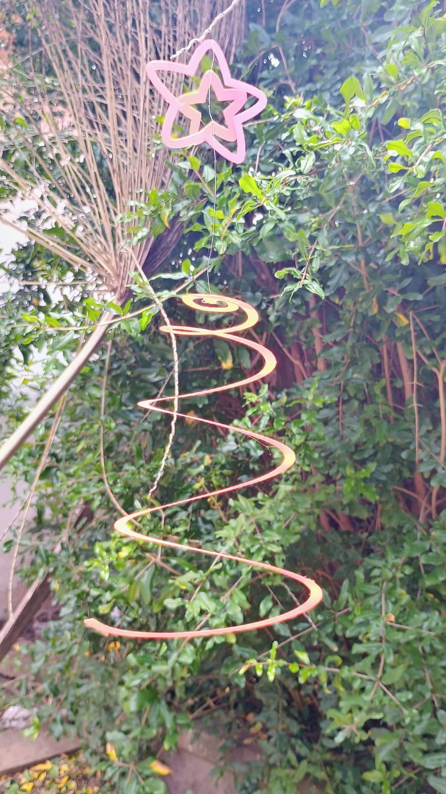 Estrella de viento