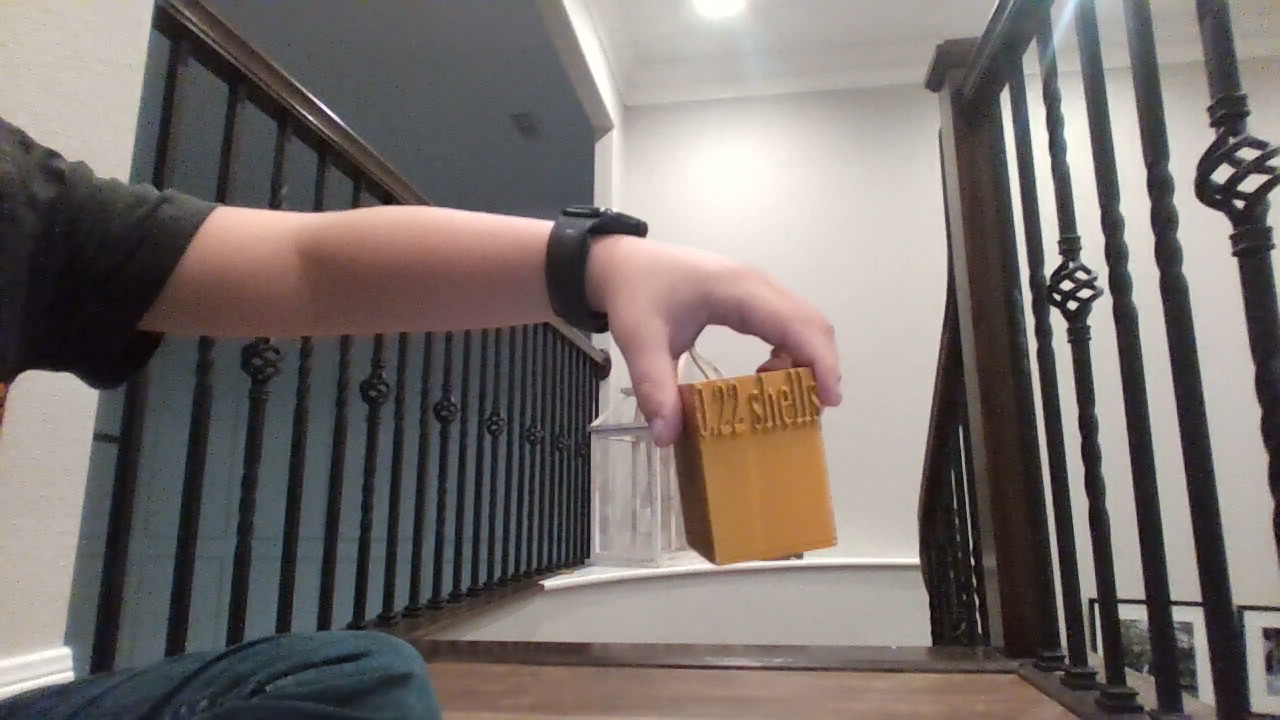 0.22 Shells can — miniatura 2
