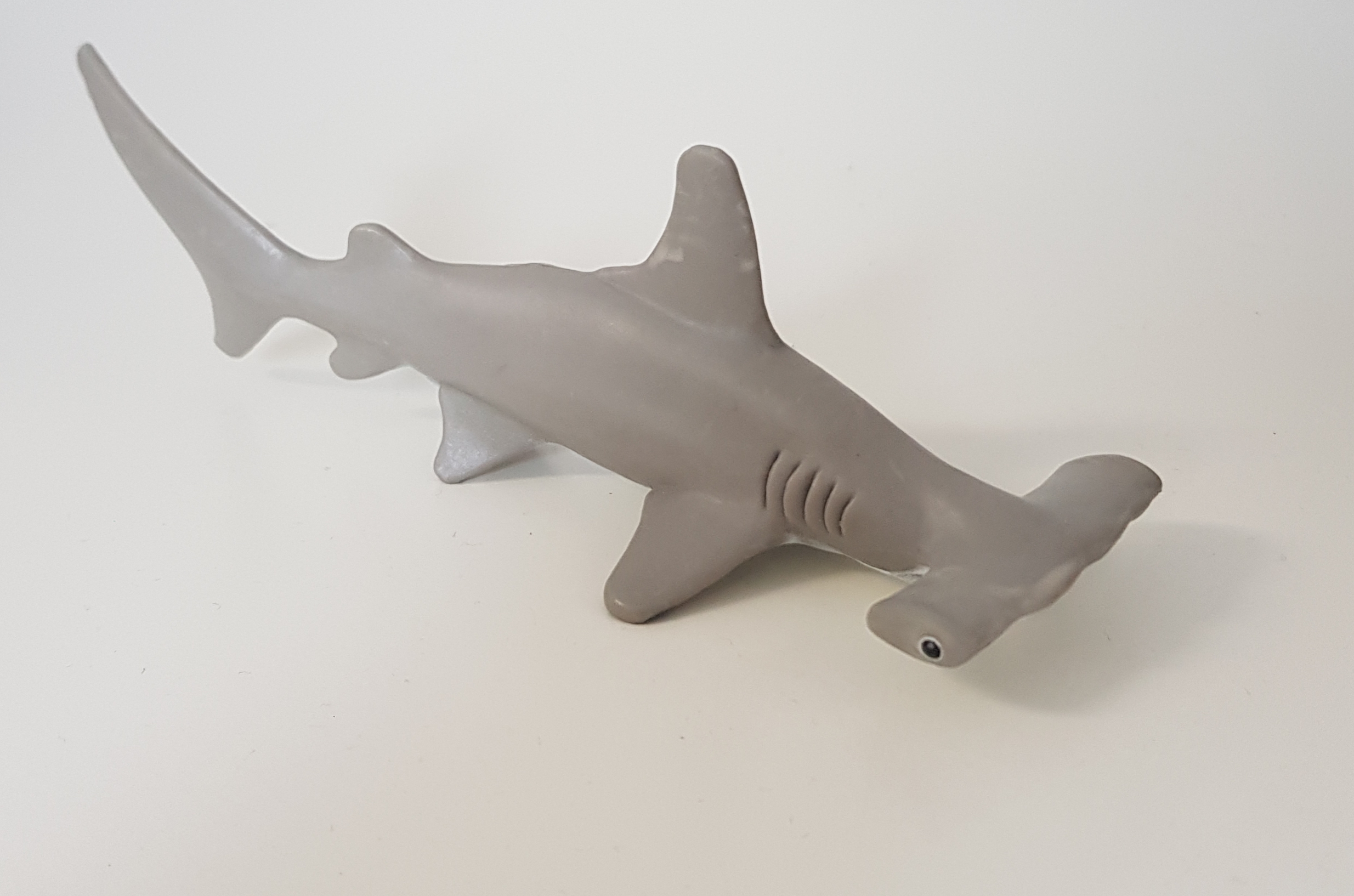 Hammerhead Shark