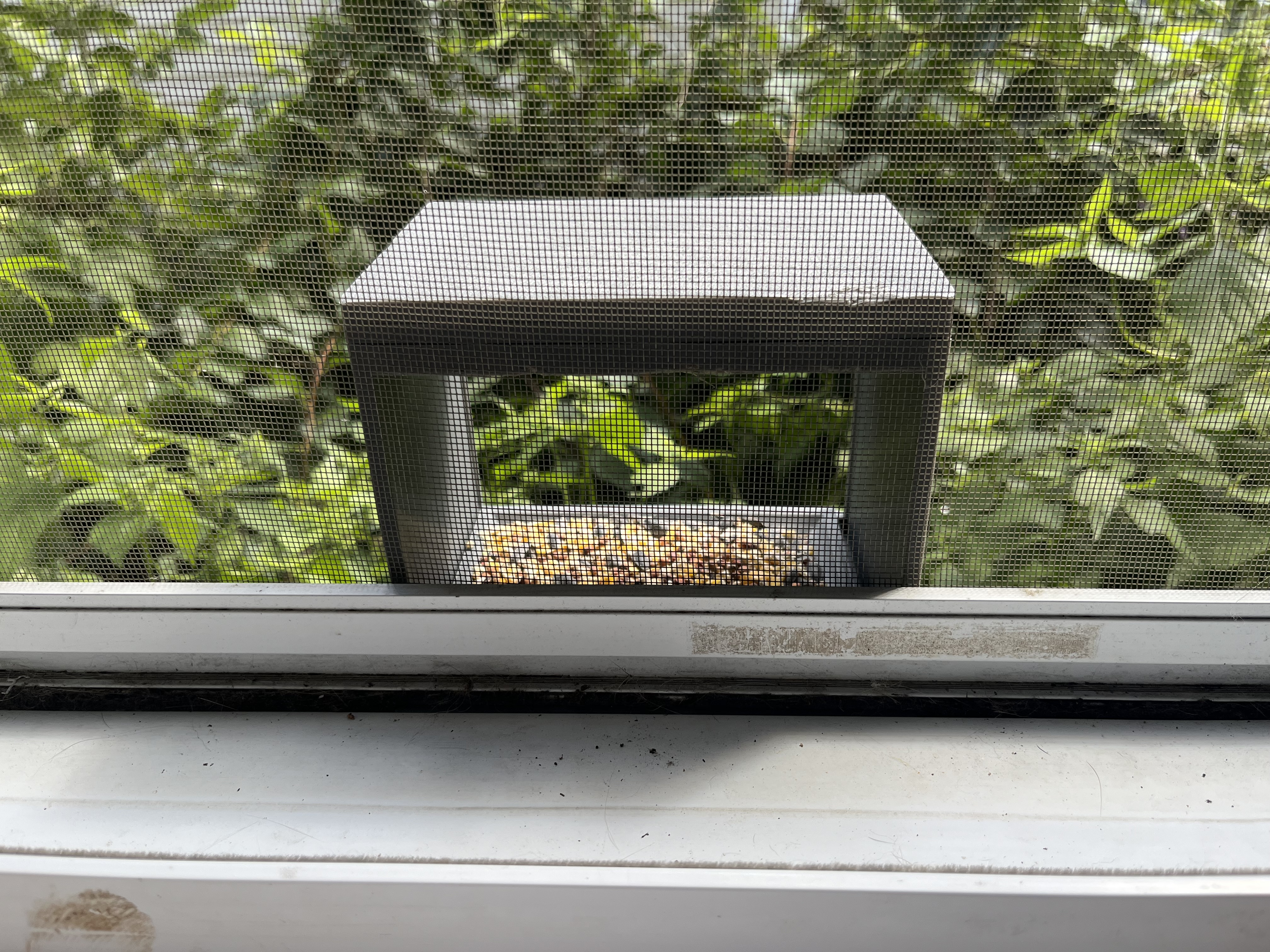 Window Bird Feeder