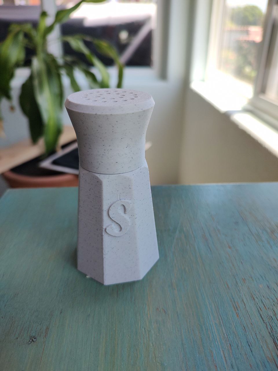 Salt Shaker with Capital S