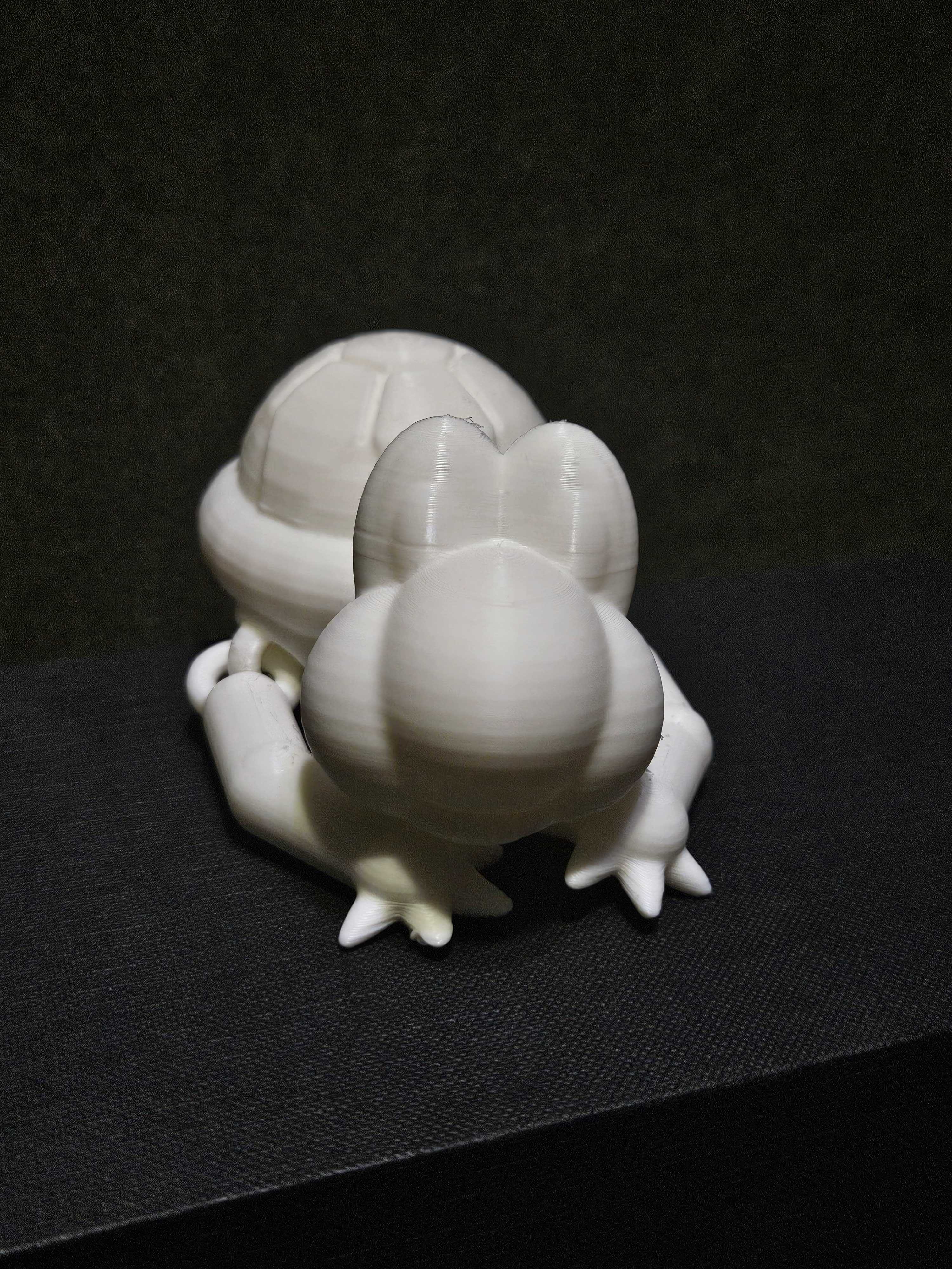 Miniatura 4 do modelo 3D Articulated Turtle
