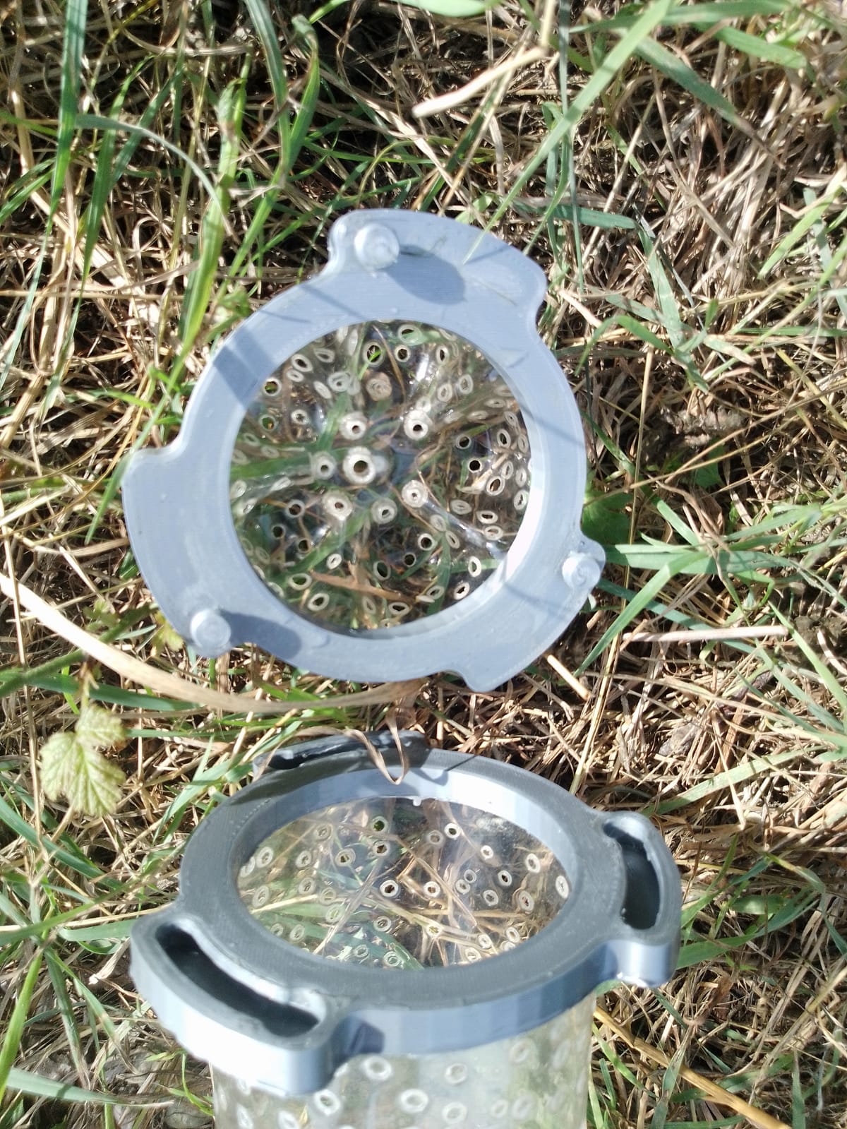 Capsule for bait, crayfish creel