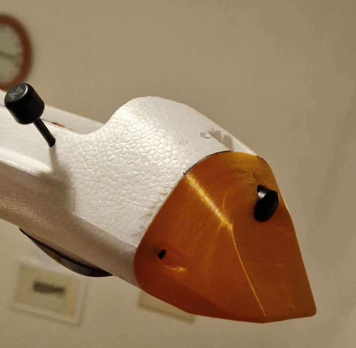 ATOMRC Dolphin short nose with 19mm camera