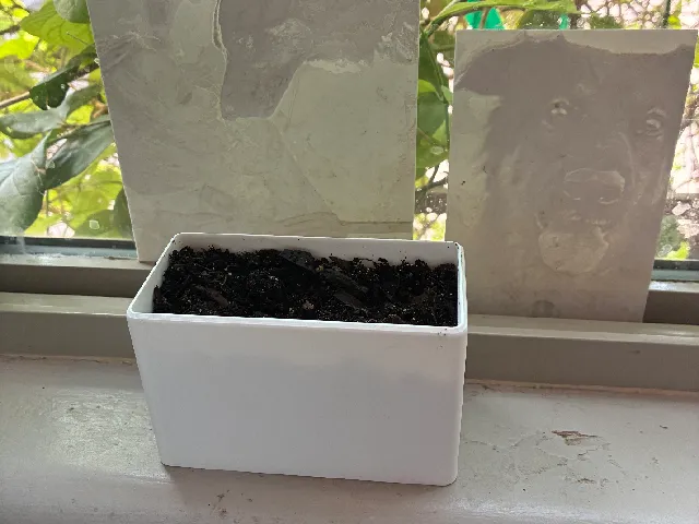 Window Planter